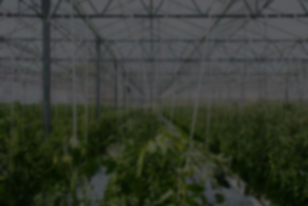 Greenhouse and Grow Industry Solutions